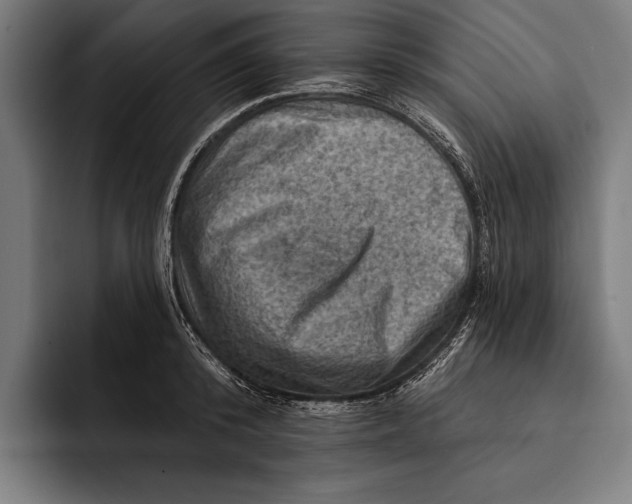 X0000092300800200710121446