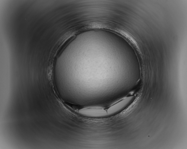 X0000092300801200710121446