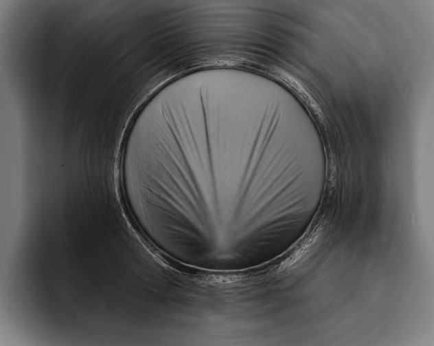 X0000092300802200710121446