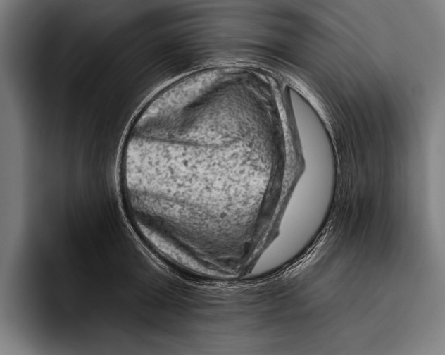 X0000092300803200710121446