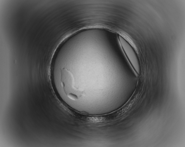 X0000092300805200710121446