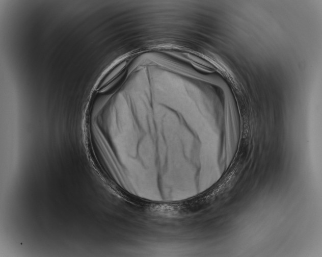 X0000092300806200710121446