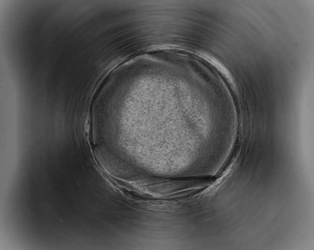 X0000092300809200710121446