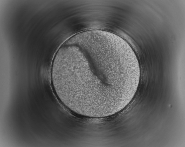 X0000092300810200710121446