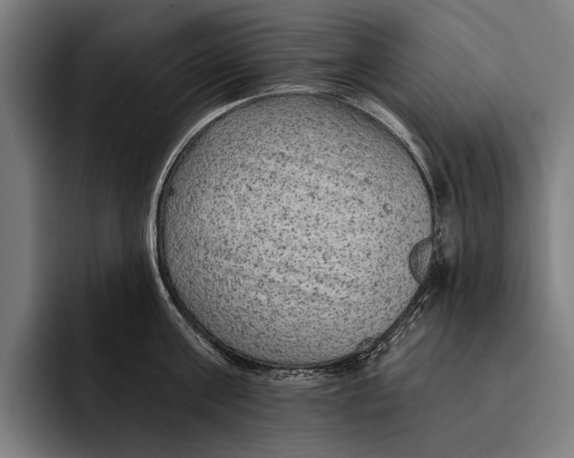 X0000092300811200710121446