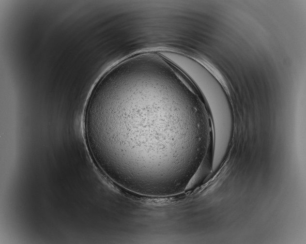 X0000092300813200710121446