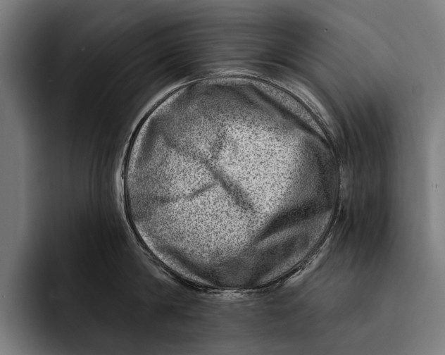 X0000092300814200710121446