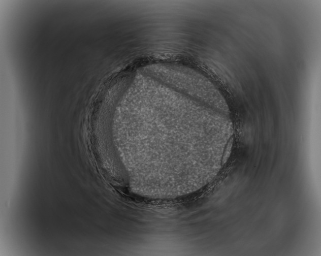 X0000092300817200710121445