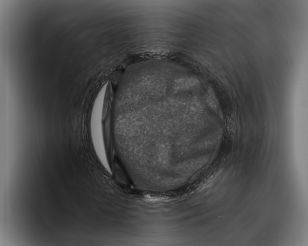 X0000092300818200710121445