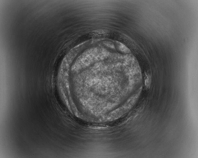 X0000092300819200710121445