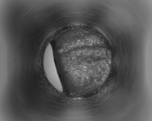 X0000092300823200710121445