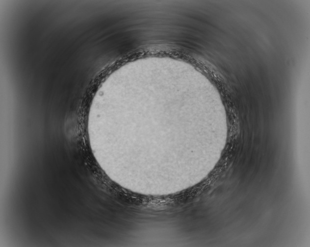 X0000092300824200710121445