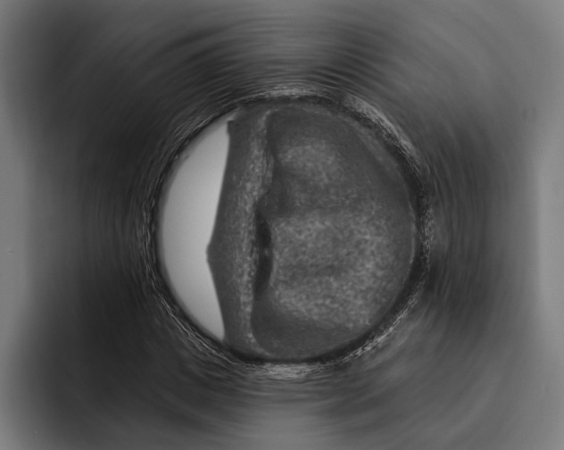 X0000092300825200710121445