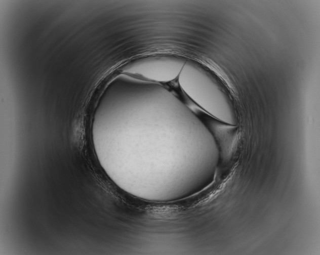 X0000092300826200710121445