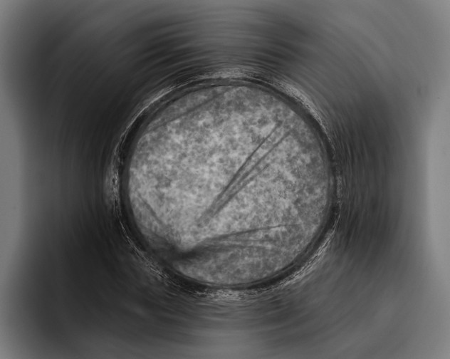 X0000092300827200710121445