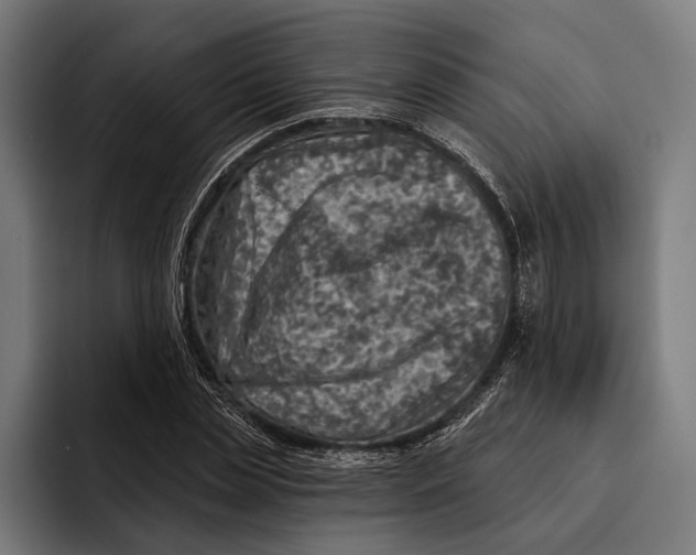 X0000092300829200710121445