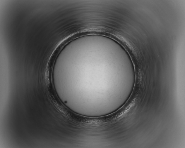 X0000092300830200710121445