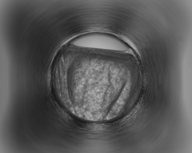 X0000092300831200710121445