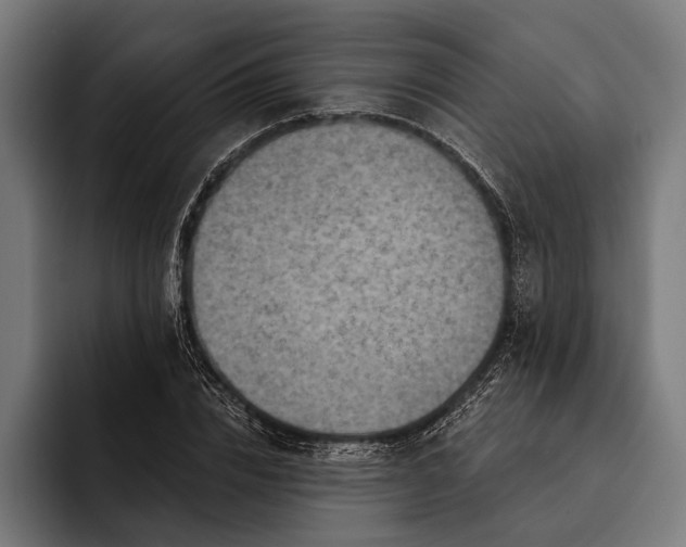 X0000092300832200710121445