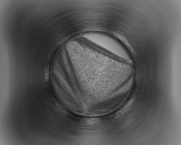 X0000092300833200710121445