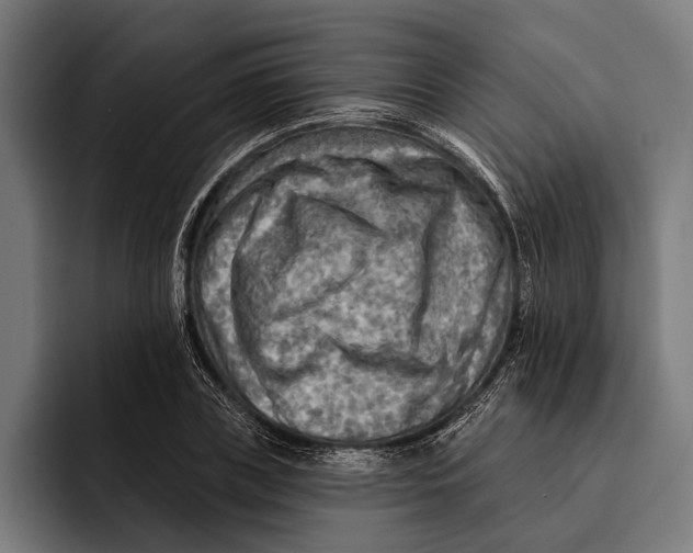 X0000092300835200710121445