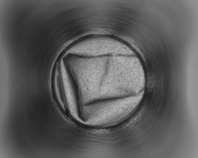 X0000092300837200710121445