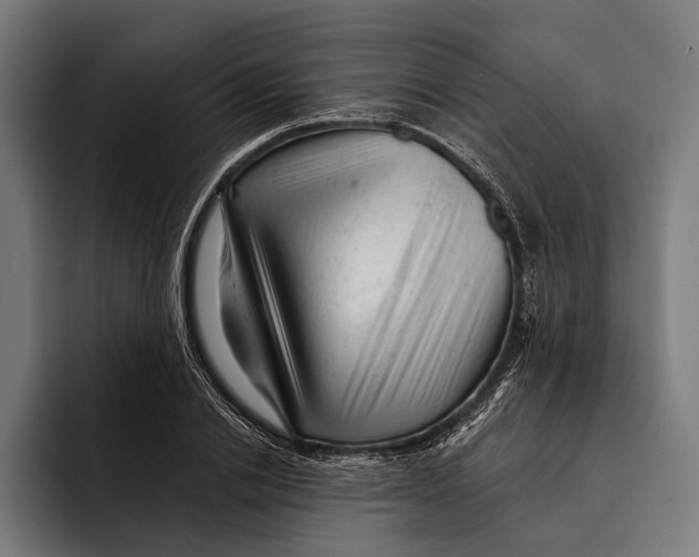 X0000092300838200710121445