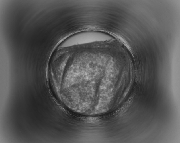 X0000092300839200710121445