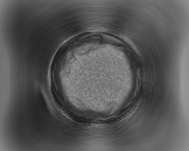 X0000092300840200710121445