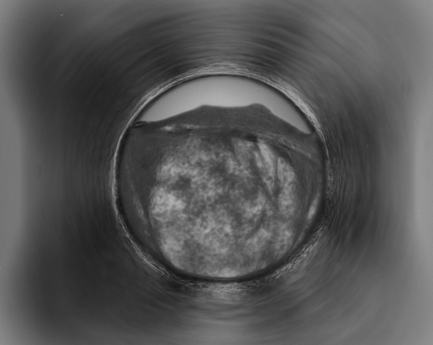 X0000092300845200710121445