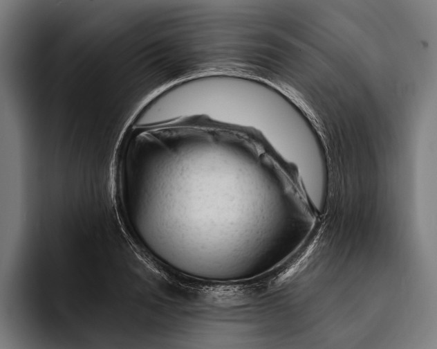 X0000092300846200710121445