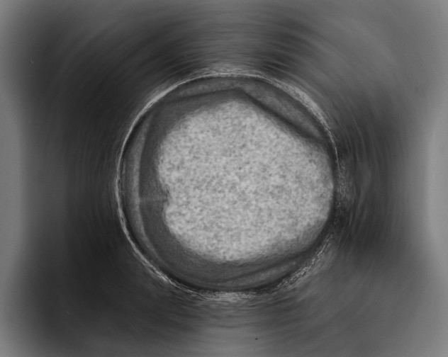 X0000092300847200710121445