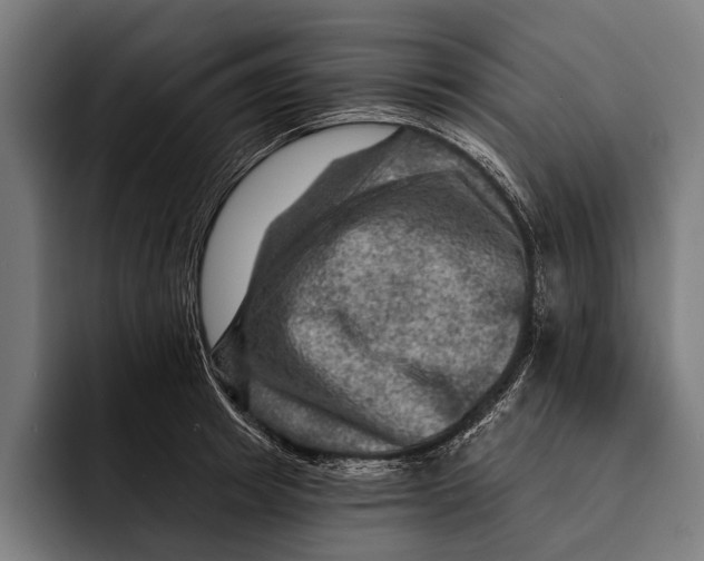 X0000092300849200710121445