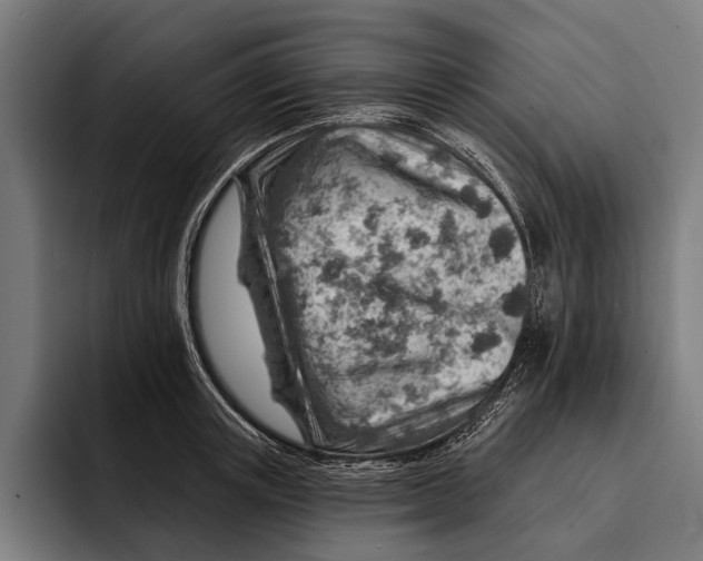 X0000092300851200710121445