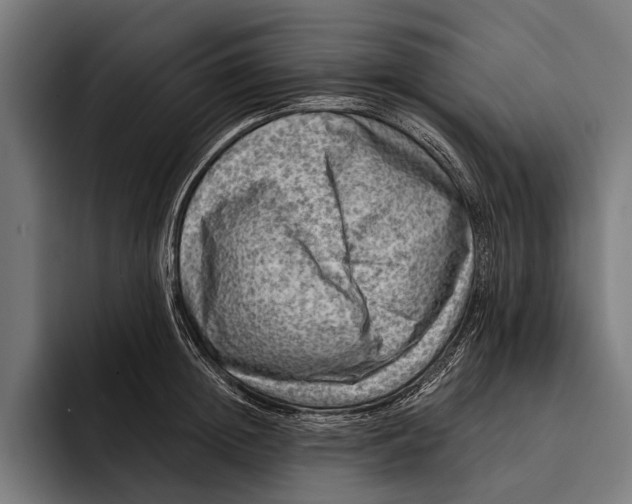 X0000092300852200710121445