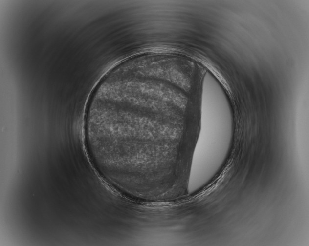 X0000092300853200710121445