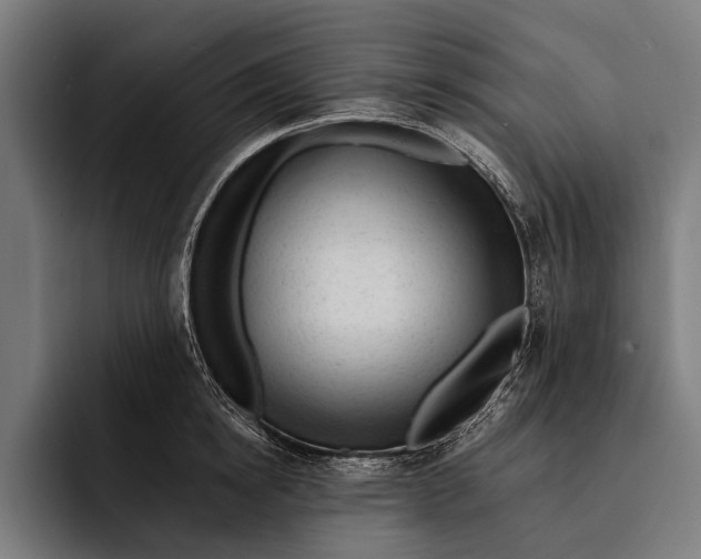 X0000092300854200710121445