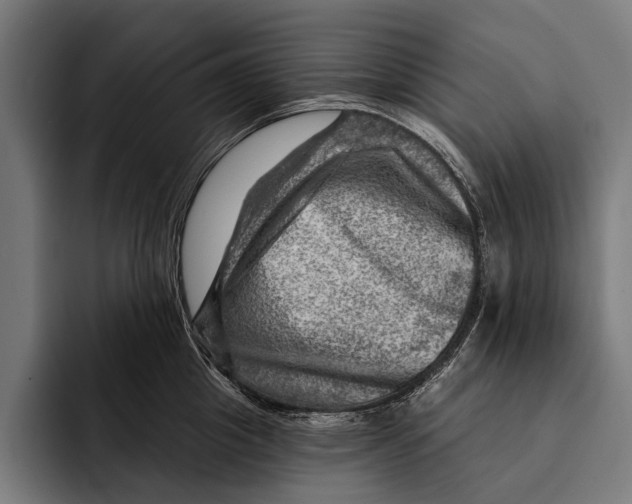 X0000092300857200710121445