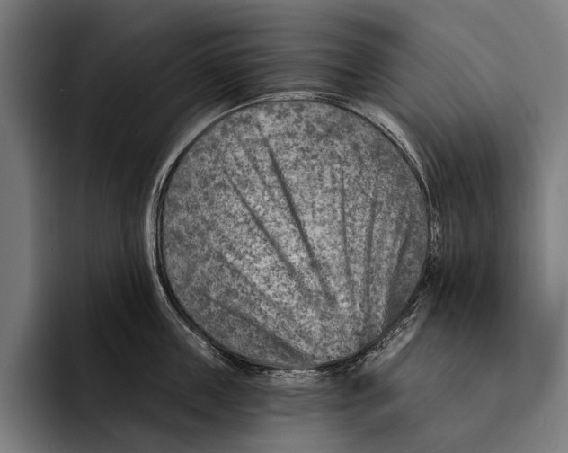 X0000092300859200710121445