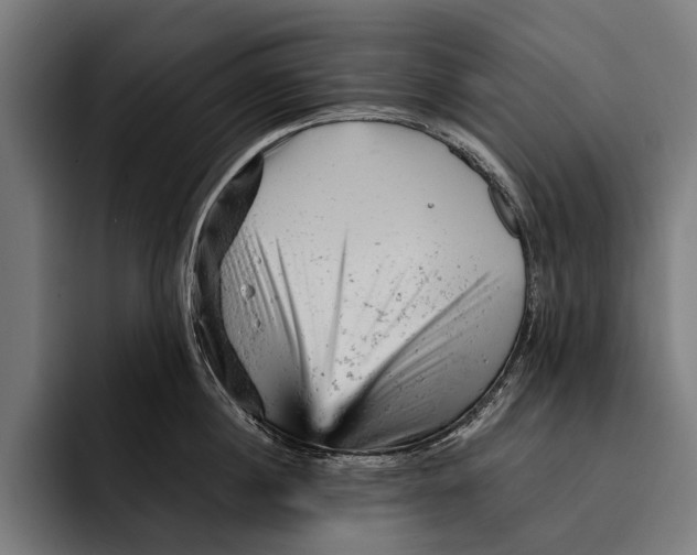 X0000092300860200710121445