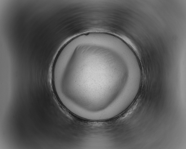 X0000092300862200710121446