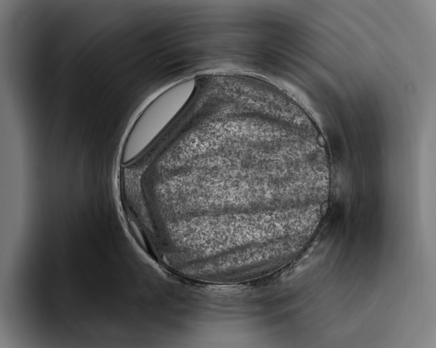 X0000092300863200710121446