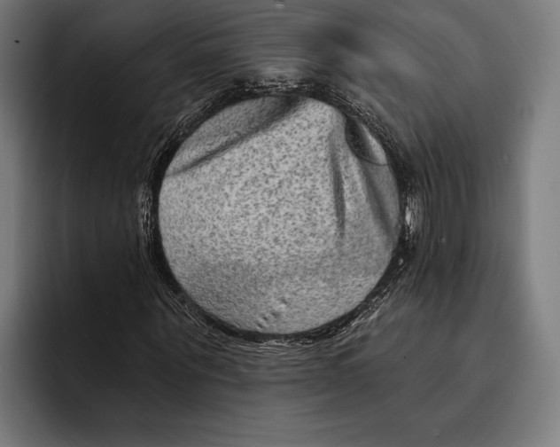 X0000092300867200710121445