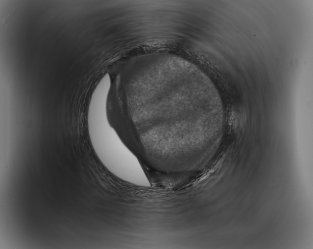 X0000092300868200710121445