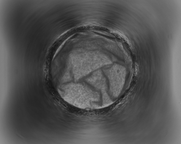 X0000092300872200710121445