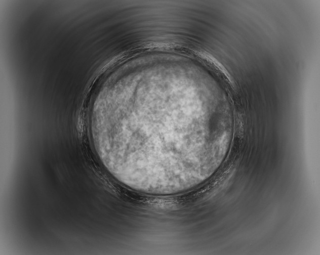 X0000092300874200710121445