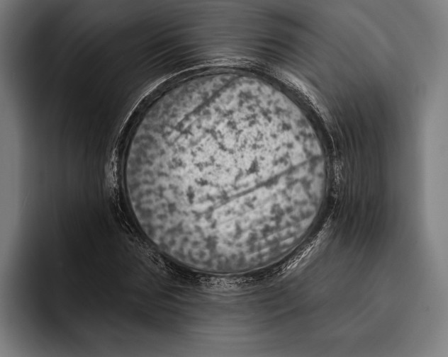 X0000092300875200710121445