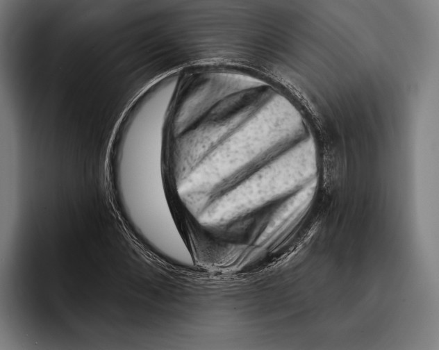 X0000092300876200710121445