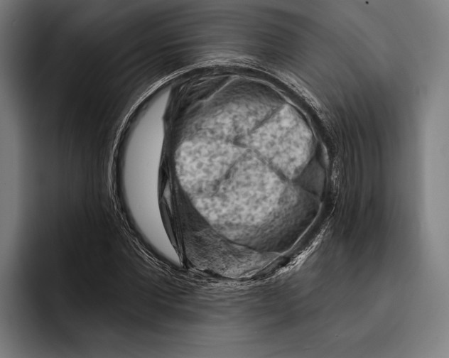 X0000092300877200710121445