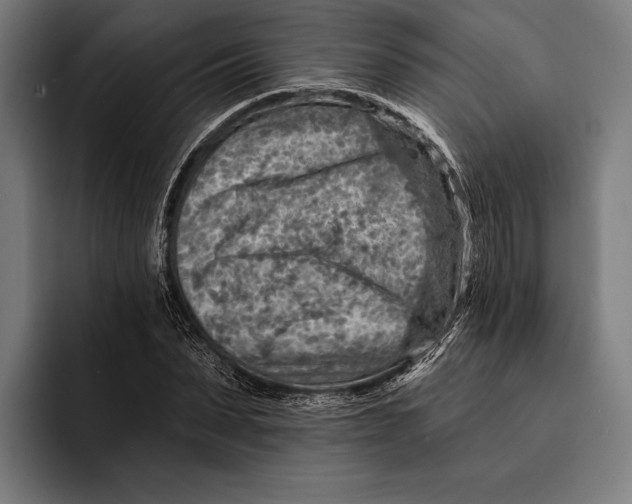 X0000092300879200710121445